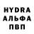 ГАШ гашик Darseris VA