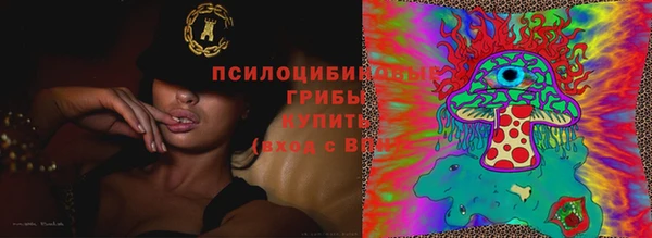 прущий лед Богданович
