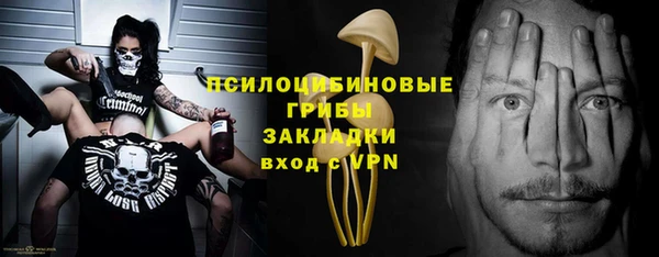 индика Белоозёрский