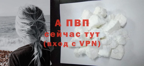 spice Белокуриха