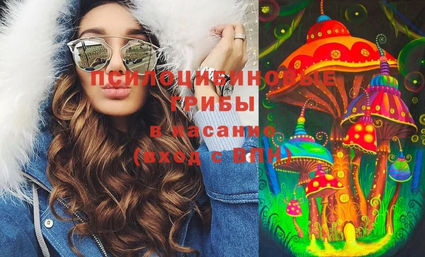 spice Белокуриха