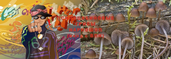 ешки Беломорск