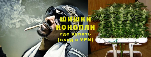 spice Белокуриха