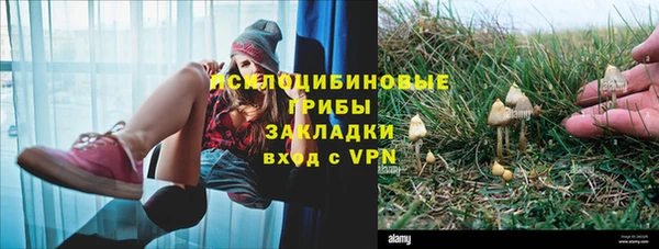ешки Беломорск